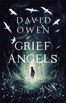 Grief Angels - David Owen (Paperback) 05-03-2020 
