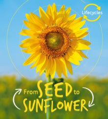 LifeCycles  Lifecycles: Seed to Sunflower - Camilla de la Bedoyere (Paperback) 21-02-2019 