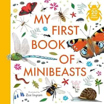 Zoe Ingram's My First Book of...  My First Book of Minibeasts - Zoe Ingram; Anonymous (Paperback) 03-07-2025 