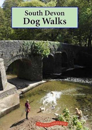 South Devon Dog Walks - Robert Hesketh (Paperback) 27-10-2022 