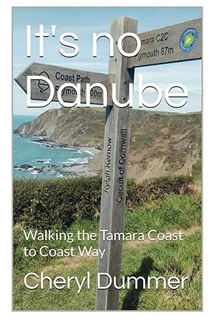 It's No Danube - Cheryl Dummer (Paperback) 01-05-2024 