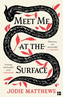 Meet Me at the Surface - Jodie Matthews (Paperback) 13-02-2025 