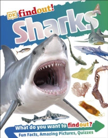 DKfindout!  DKfindout! Sharks - DK (Paperback) 16-01-2017 