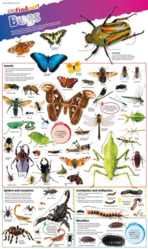 DKfindout!  DKfindout! Bugs Poster - DK (Wallchart) 03-07-2017 