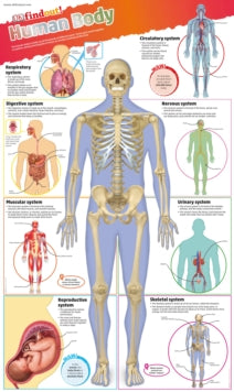 DKfindout!  DKfindout! Human Body Poster - DK (Wallchart) 03-07-2017 