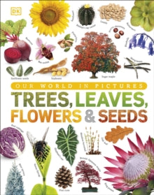 Our World in Pictures: Trees, Leaves, Flowers & Seeds - DK; Smithsonian Institution (Hardback) 05-09-2019 