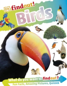 DKfindout!  DKfindout! Birds - DK (Paperback) 06-06-2019 