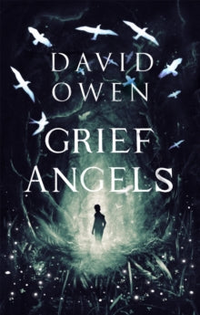 Grief Angels - David Owen (Paperback) 05-03-2020 