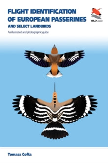 WILDGuides of Britain & Europe  Flight Identification of European Passerines and Select Landbirds: An Illustrated and Photographic Guide - Tomasz Cofta; Michal Skakuj (Paperback) 11-May-21 