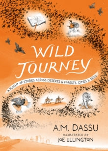Wild Journey - A. M. Dassu; Joe Lillington (Paperback) 06-11-2025 
