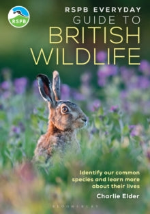 RSPB  RSPB Everyday Guide to British Wildlife: Identify our common species and learn more about their lives - Charlie Elder (Paperback) 22-05-2025 