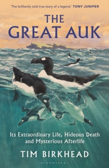 The Great Auk: Its Extraordinary Life, Hideous Death and Mysterious Afterlife - Tim Birkhead (Hardback) 13-03-2025 