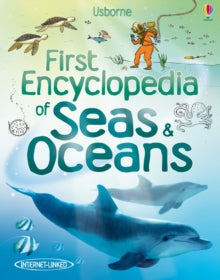 First Encyclopedias  First Encyclopedia of Seas and Oceans - Ben Denne; Felicity Brooks; Felicity Brooks; David Hancock (Hardback) 29-01-2011 