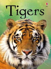 Beginners  Tigers - James Maclaine; John Francis (Hardback) 01-06-2012 