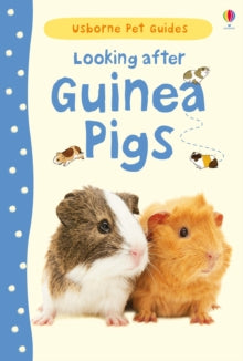 Pet Guides  Looking after Guinea Pigs - Laura Howell; Christyan Fox (Hardback) 01-06-2013 