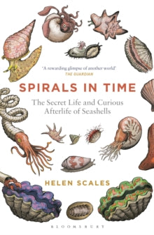Spirals in Time: The Secret Life and Curious Afterlife of Seashells - Helen Scales (Paperback) 07-04-2016 