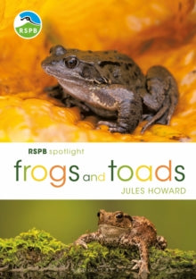 RSPB Spotlight Frogs and Toads - Mr Jules Howard (Paperback) 25-07-2019 