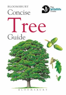 Concise Guides  Concise Tree Guide - Bloomsbury (Paperback) 24-08-2018 