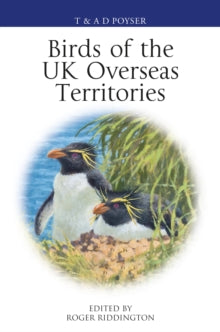 Birds of the UK Overseas Territories - Roger Riddington (Paperback) 23-07-2020 