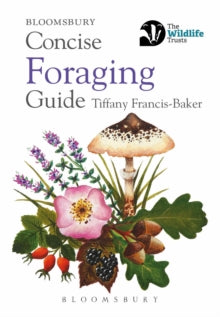 Concise Foraging Guide - Tiffany Francis-Baker (Paperback) 13-05-2021 