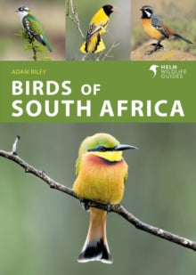 Helm Wildlife Guides  Birds of South Africa - Adam Riley (Paperback) 15-09-2022 
