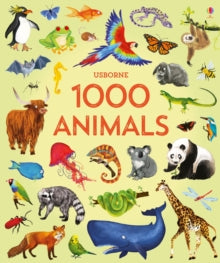 1000 Pictures  1000 Animals - Jessica Greenwell; Jessica Greenwell; Nikki Dyson (Hardback) 09-08-2018 