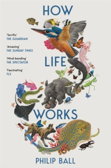 How Life Works: A User's Guide to the New Biology - Philip Ball (Paperback) 06-03-2025 