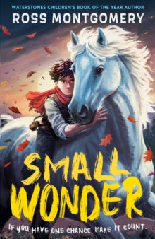 Small Wonder: The hotly anticipated new novel from award-winning Ross Montgomery, winner of Waterstones Children's Book of the Year 2024 - fantasy adventure perfect for ages 9, 10, 11, 12 - Ross Montgomery (Paperback) 28-08-2025 