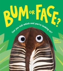 Bum or Face - Kari Lavelle (Paperback) 31-07-2023 