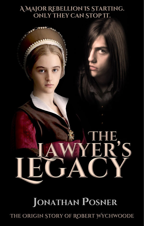 The Lawyers Legacy - Jonathan Posner (Paperback) 01-04-2023