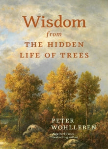 David Suzuki Institute  Wisdom from the Hidden Life of Trees - Peter Wohlleben; Jane Billinghurst (Hardback) 04-04-2024 