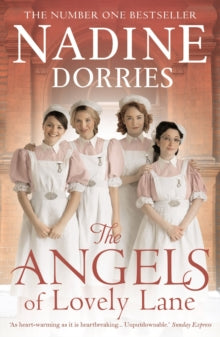 The Angels Of Lovely Lane - Nadine Dorries (Paperback) 01-12-2016 Short-listed for Parliamentary Book Awards: Best Fiction by a Parliamentarian 2016.