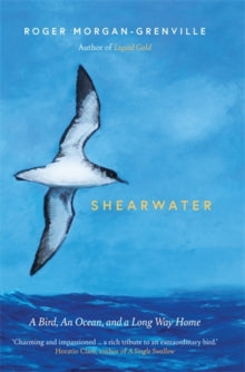 Shearwater: A Bird, an Ocean, and a Long Way Home - Roger Morgan-Grenville (Hardback) 08-04-2021 