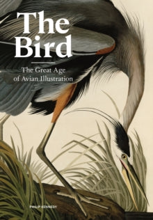 The Bird: The Great Age of Avian Illustration - Philip Kennedy (Hardback) 16-12-2021 