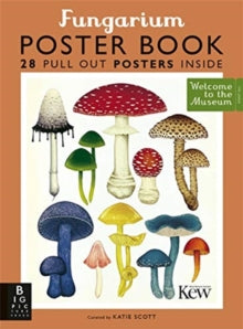 Welcome To The Museum  Fungarium Poster Book - Ester Gaya; Katie Scott (Paperback) 04-03-2021 
