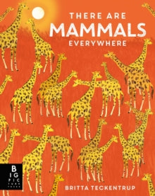 There are Mammals Everywhere - Camilla De La Bedoyere; Britta Teckentrup (Hardback) 24-11-2022 