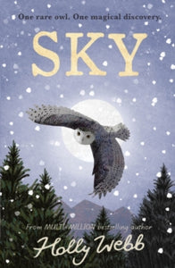 Sky - Holly Webb (Hardback) 02-09-2021 