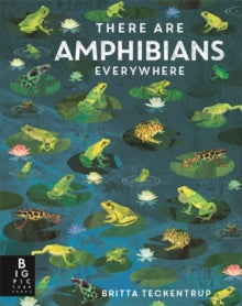 Britta Teckentrup Everywhere  There Are Amphibians Everywhere - Camilla De La Bedoyere; Britta Teckentrup (Hardback) 14-08-2025 