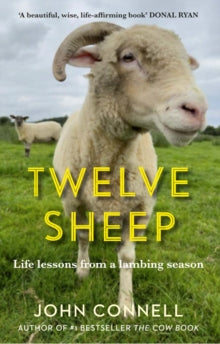 Twelve Sheep: Life lessons from a lambing season - John Connell (Hardback) 04-04-2024 