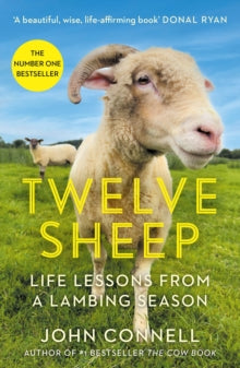 Twelve Sheep: Life lessons from a lambing season - John Connell (Paperback) 03-04-2025 