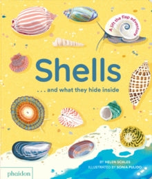 Shells... and what they hide inside: A Lift-the-Flap Adventure - Helen Scales; Sonia Pulido (Board book) 04-04-2024 