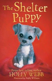 Holly Webb Animal Stories 40 The Shelter Puppy - Holly Webb; Sophy Williams (Paperback) 14-06-2018 