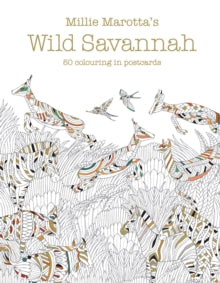 Millie Marotta 17 Millie Marotta's Wild Savannah Postcard Box: 50 beautiful cards for colouring in - Millie Marotta (Postcard book or pack) 25-08-2016 