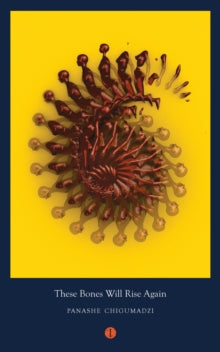 Mood Indigo  These Bones Will Rise Again - Panashe Chigumadzi (Paperback) 14-06-2018 Winner of K. Sello Duiker Memorial Literary Award 2016.