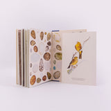 The Book of Birds: A Field Guide to Wonder and Loss - (Pre Order) Signed Independent Edition with a limited-edition numbered print - Robert Macfarlane; Jackie Morris (Hardback) 07-05-2026