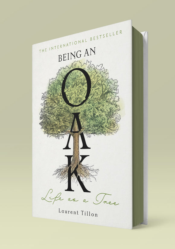 Being an Oak: Life as a tree - (Pre Order) Independent Edition with sprayed edge - Laurent Tillon; Jessica Moore (Hardback) 12-06-2025