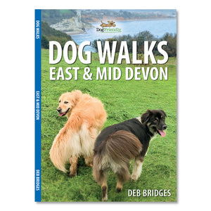 Pushchair Walks on Dartmoor - Emma Richardson (Paperback) 24-03-2022 