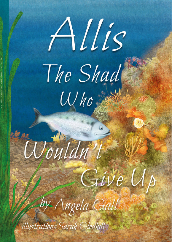 Allis the Shad Who Wouldn't Give Up - Angela Gall (Paperback) 01-03-2025 
