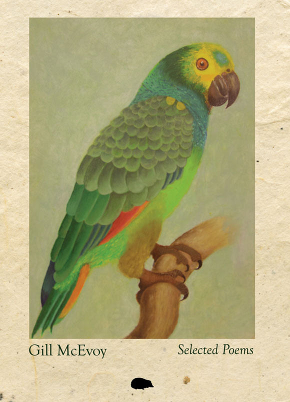 Selected Poems - Gill McEvoy (Paperback) 14-02-2024 