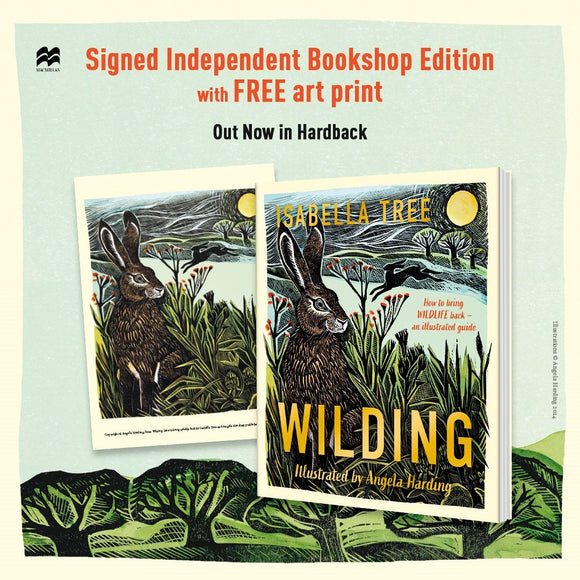 Wilding: How to Bring Wildlife Back - Independent Edition with Free Angela Harding Art Print - An Illustrated Guide - Isabella Tree; Angela Harding (Hardback) 07-03-2024
